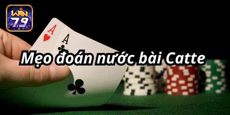  Cách đoán nước bài Catte chi tiết