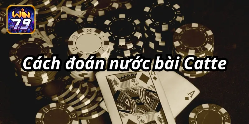 cách đoán nước bài Catte