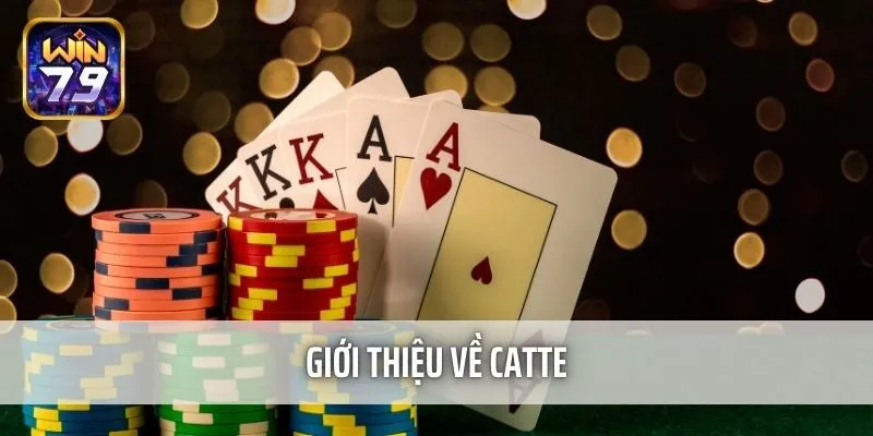 Giới thiệu về Catte