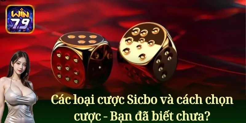 Các loại cược Sicbo và cách chọn cược - Bạn đã biết chưa?