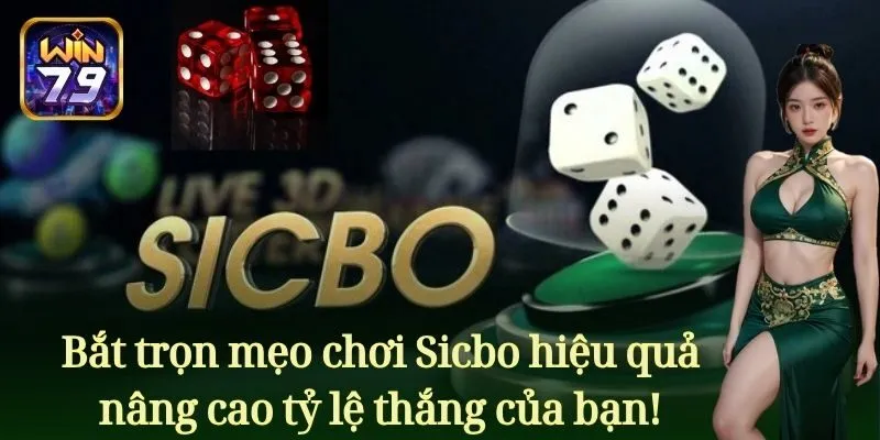 Bắt trọn mẹo chơi Sicbo hiệu quả nâng cao tỷ lệ thắng của bạn!