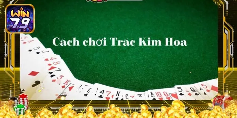 Cách chơi Trác Kim Hoa cơ bản cho người mới bắt đầu