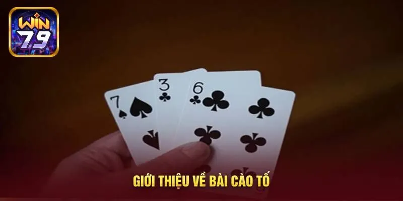 Bí Quyết Siêu Đỉnh Từ Cao Thủ Giúp Thắng Lớn Trong Cào Tố