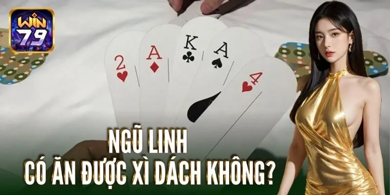 Ngũ linh có ăn xì dách không?