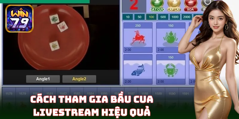 Hướng dẫn cách chơi Bầu Cua Livestream chi tiết nhất